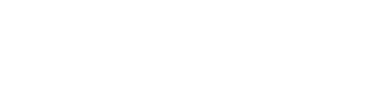 white delvent logo